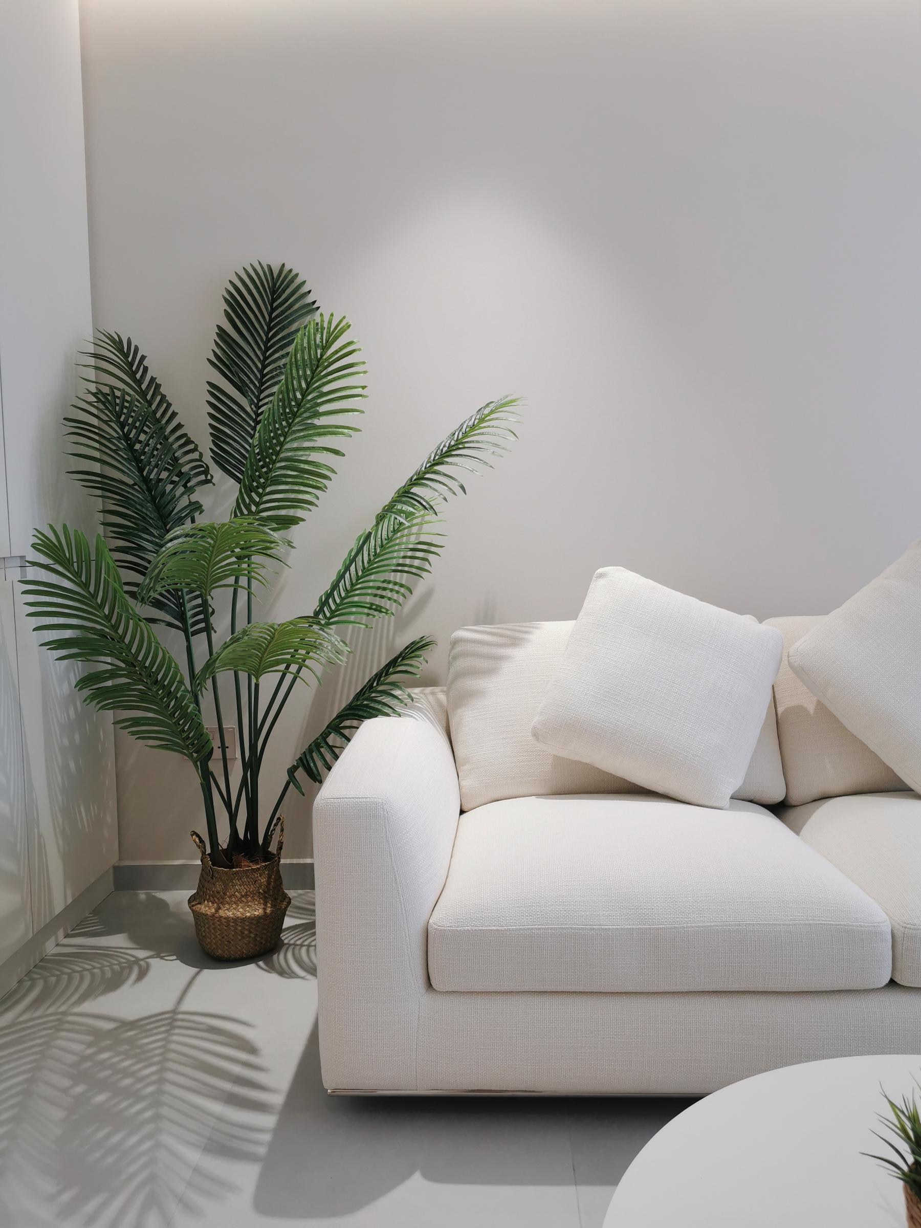 Scandinavian Living Room with Homogeneous Tiles and Sofa
