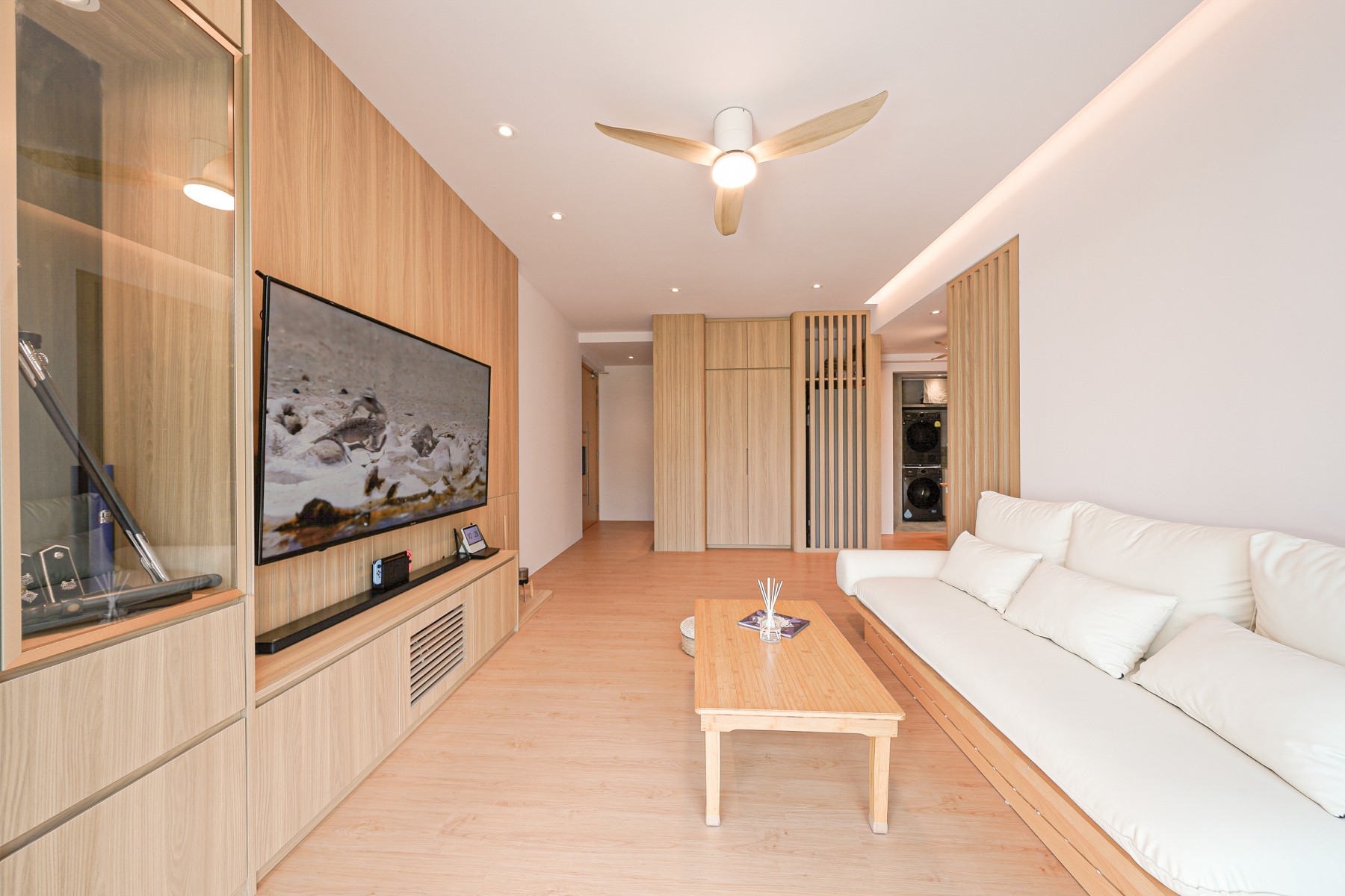 Scandinavian Living Room with TV Console and Feature Wall