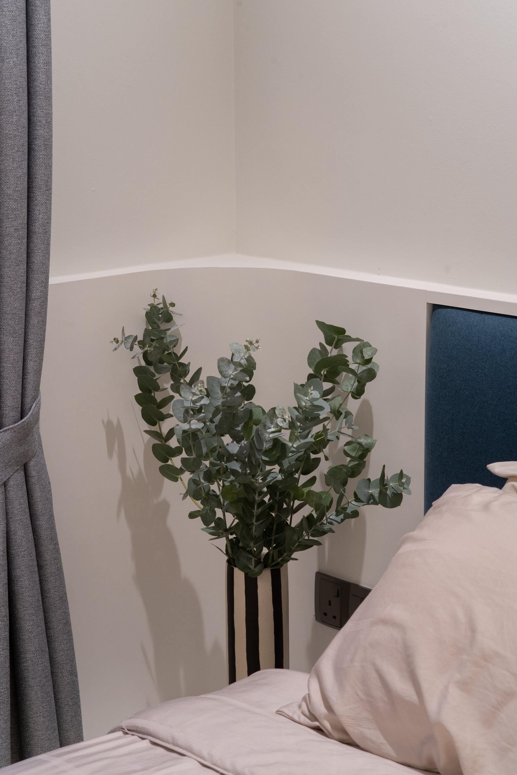 Contemporary Bedroom with Single Bed and Day Bed