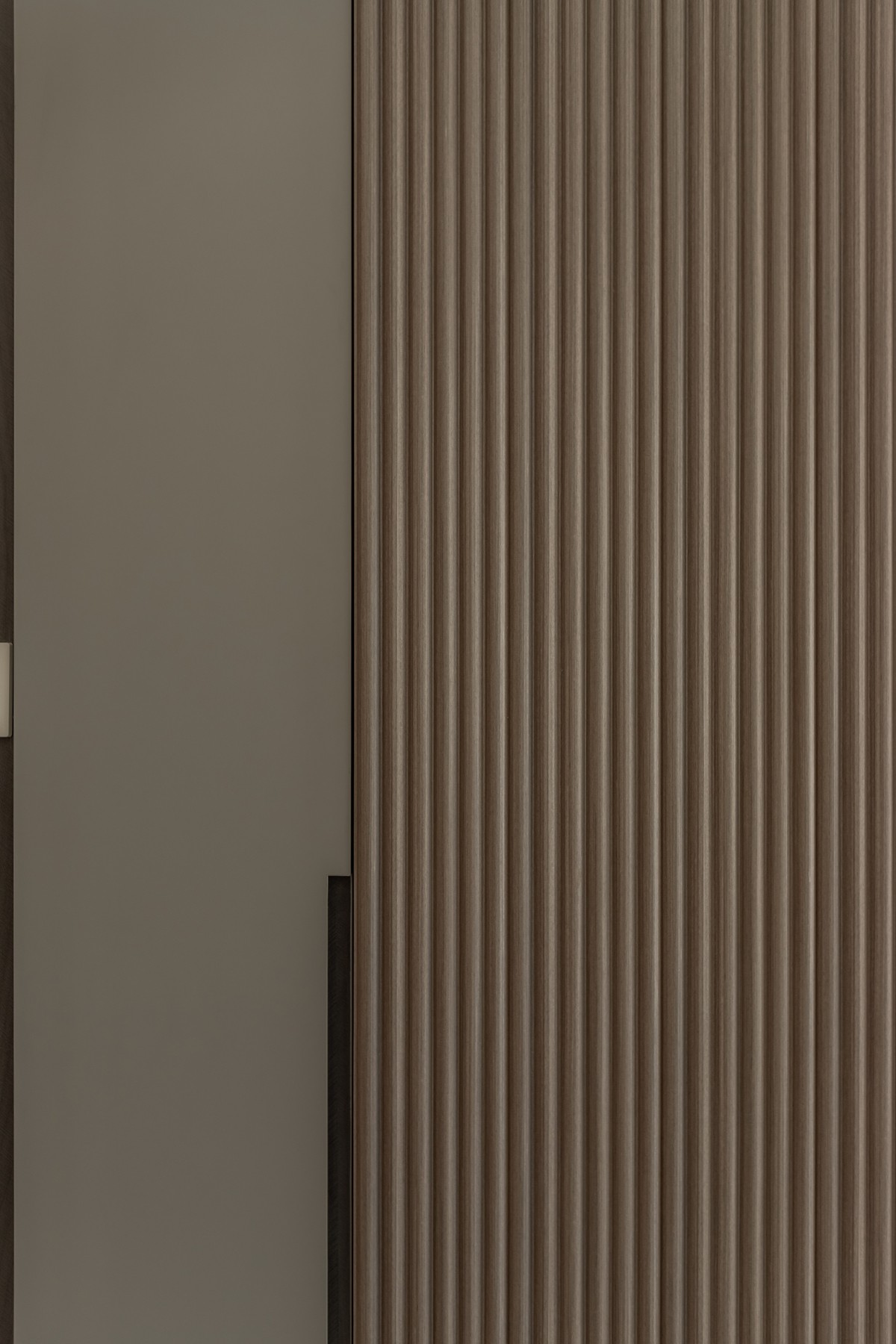 Contemporary Entryway with Feature Wall and Shoe Rack