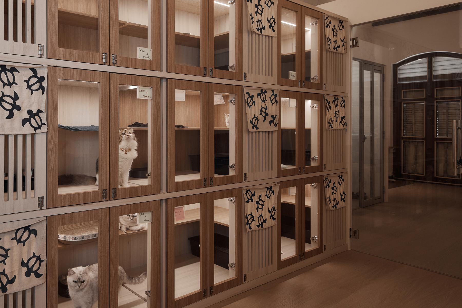 Scandinavian Retail with Wall Shelves and Shelving Units