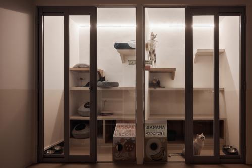 Scandinavian Retail at Geyland Road
