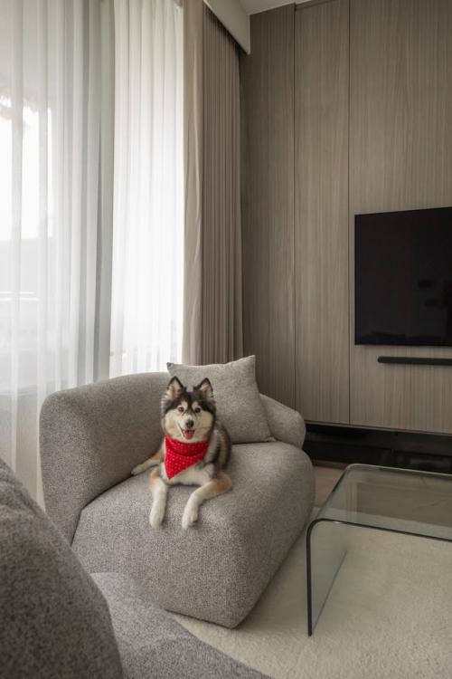Modern Living Room at Normanton Park