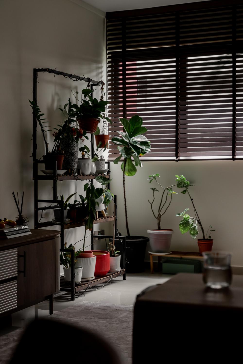 309 Shunfu Road