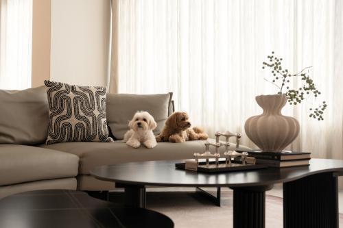 Modern Living Room at Atria @ Meyer