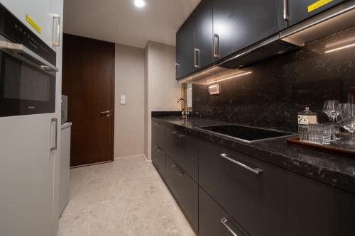 Modern Kitchen at 1 Draycott Park @ One Draycott