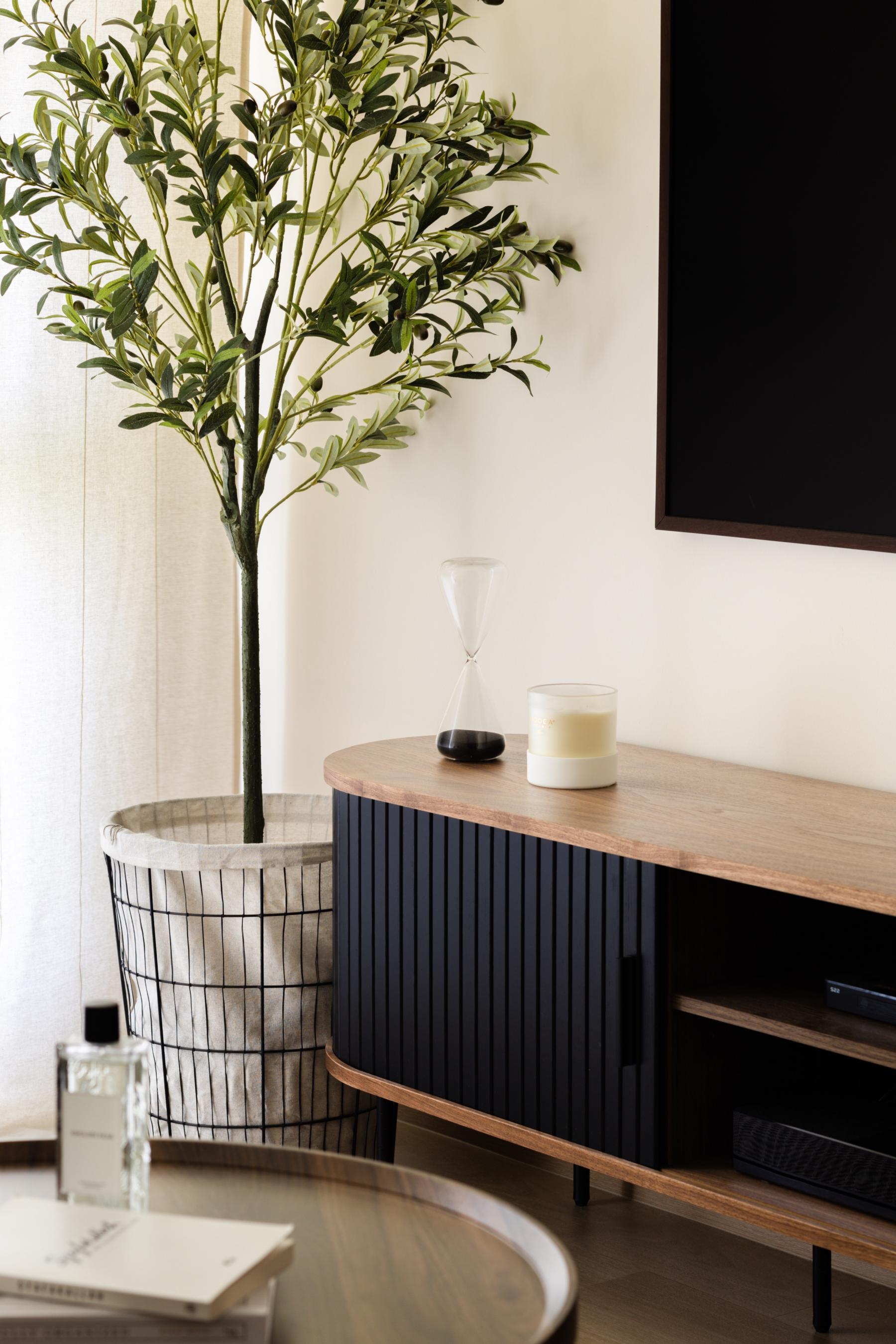 Minimalist Living Room with TV Console and Houseplants