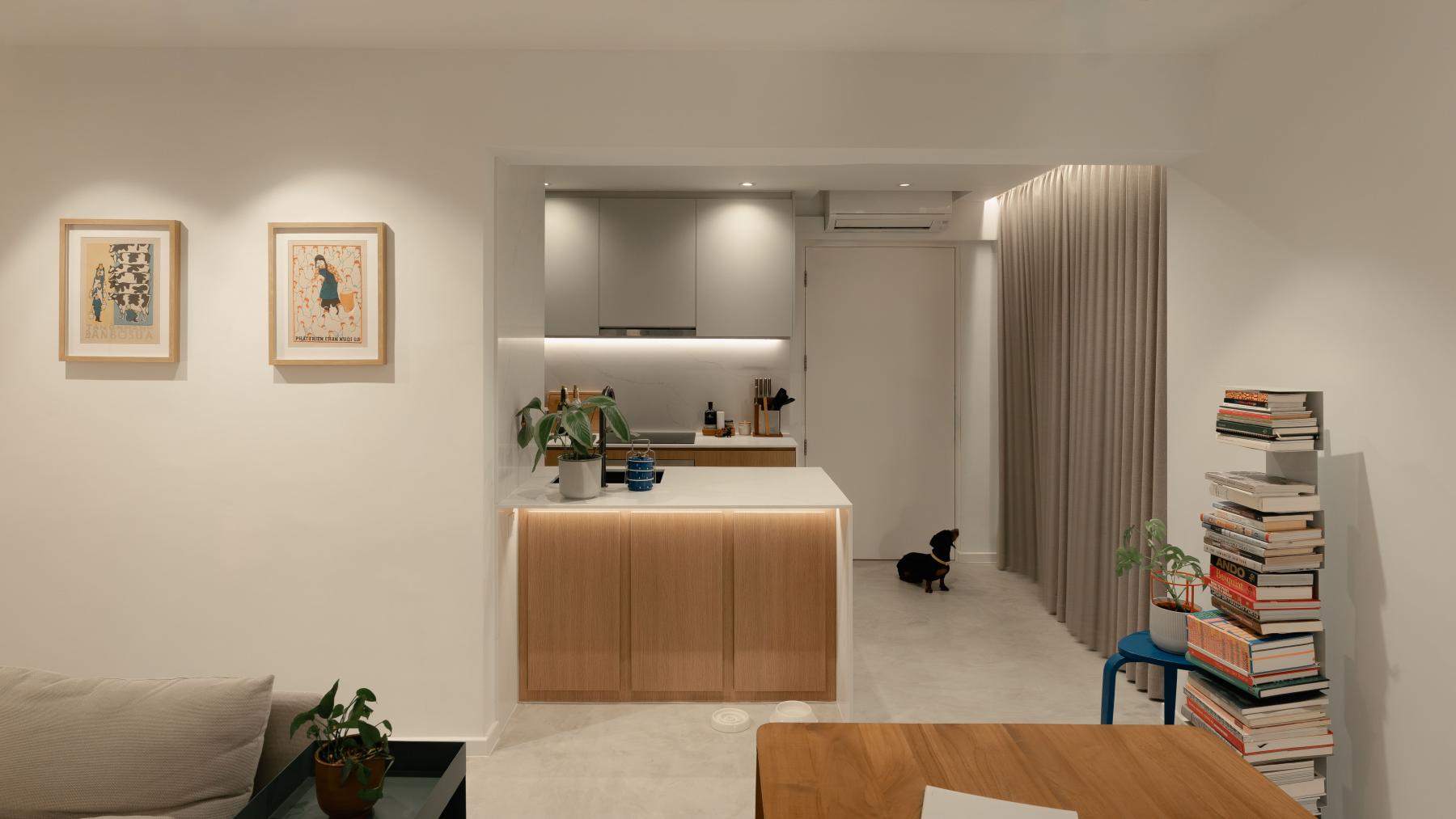 Modern Living Room with Bookshelf and Countertop