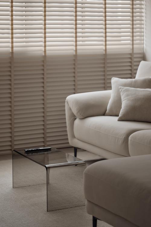 Minimalist Living Room at 685 Race Course