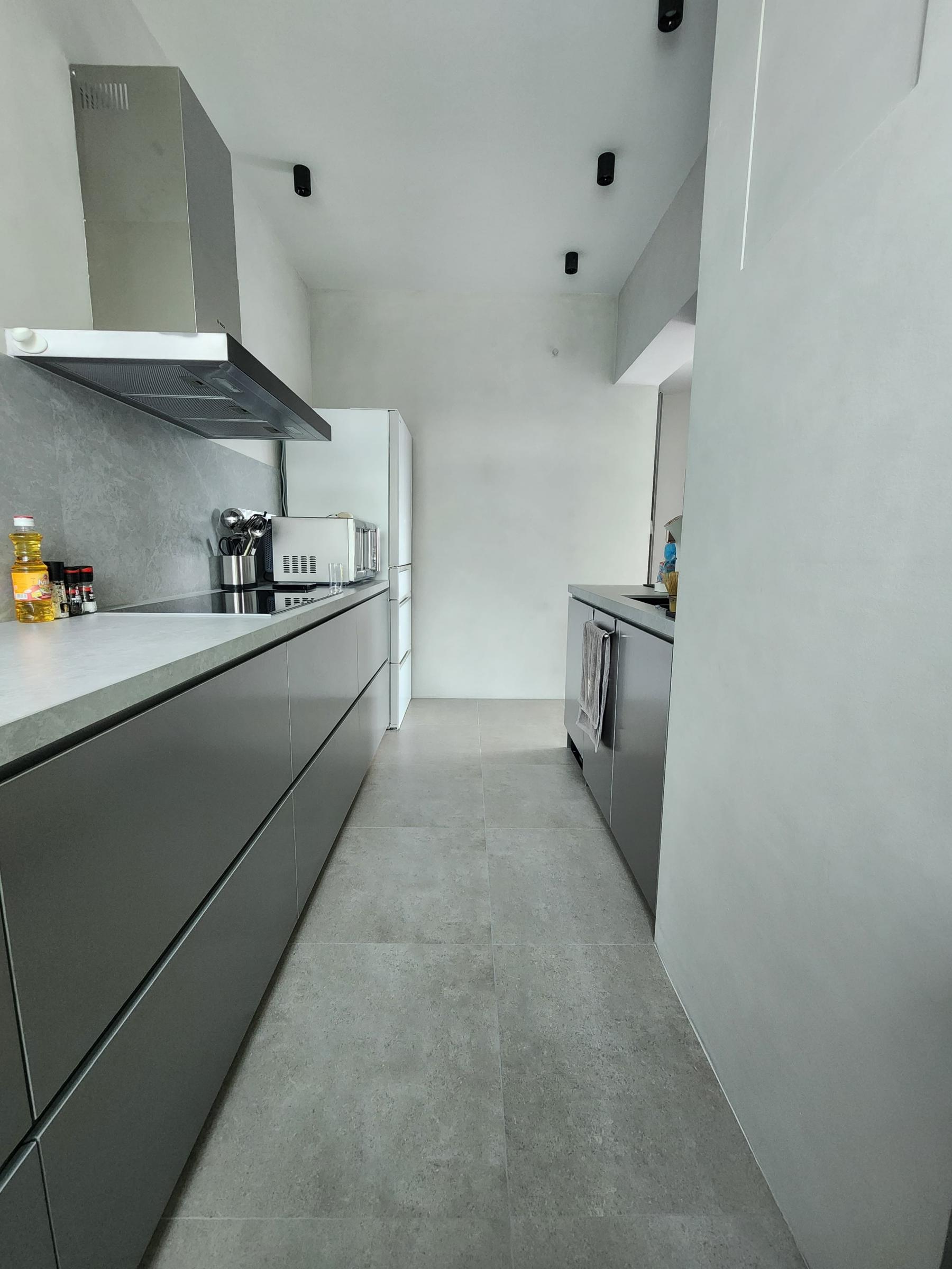 Industrial Kitchen with Countertop and Homogeneous Tiles