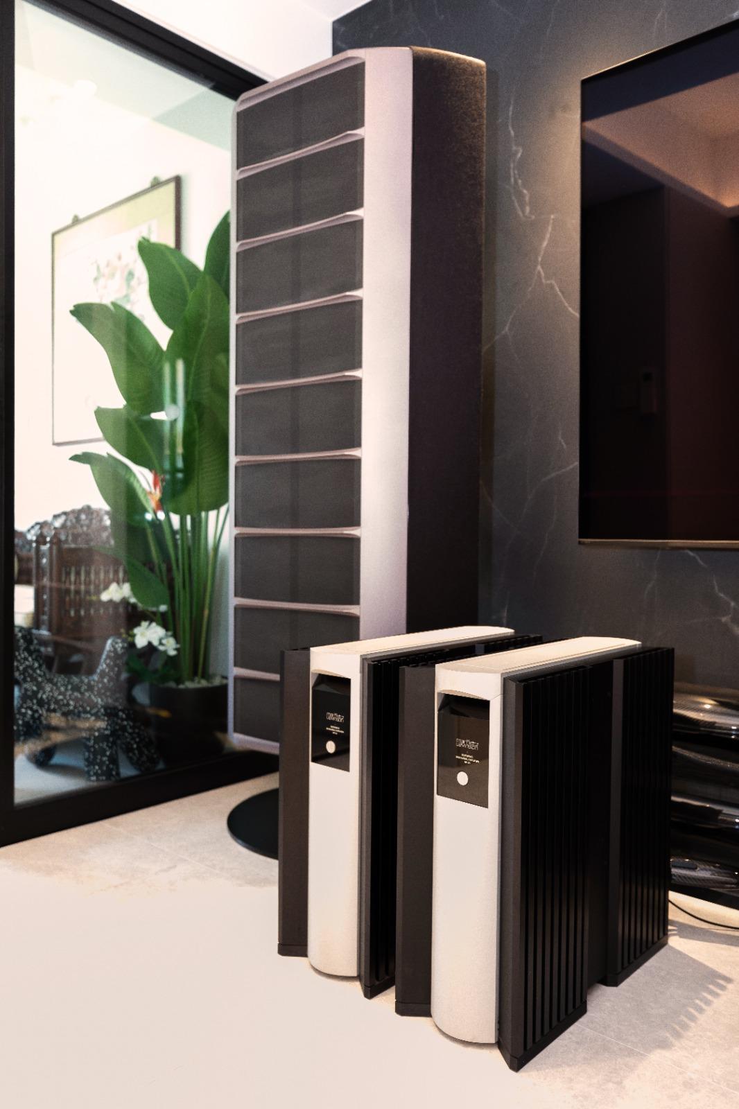 Modern Living Room with TV and Flooring