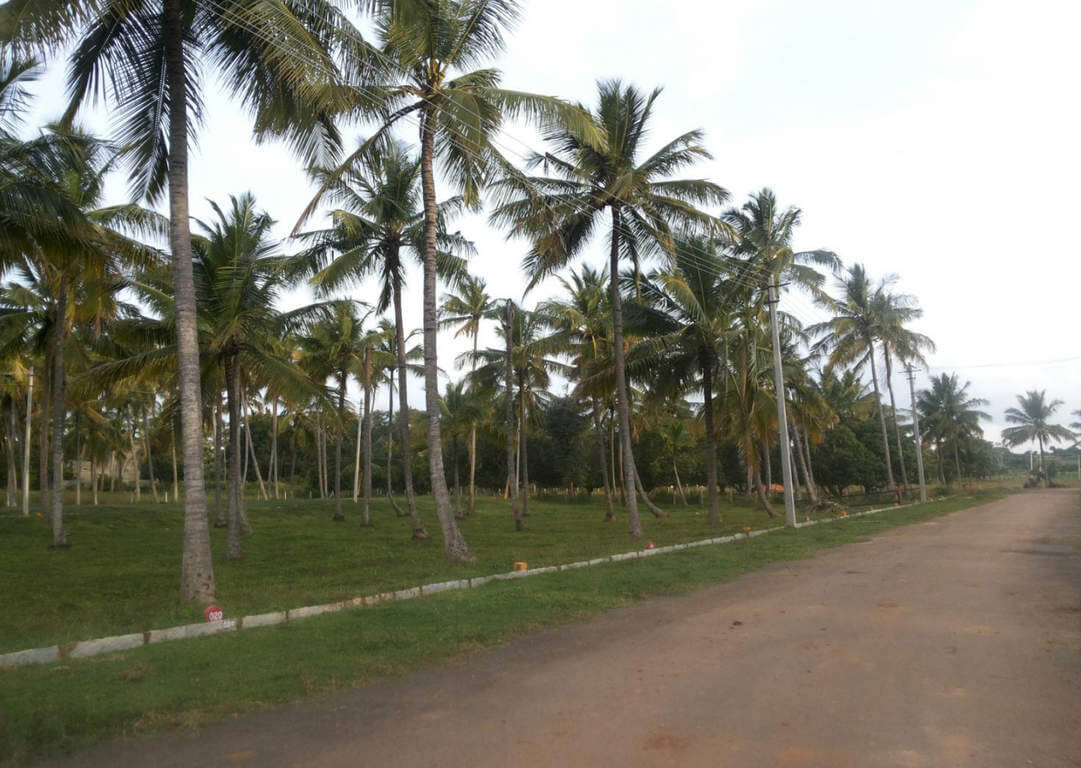 Bhoomika Royal Heritage Garden Plot Elivala Mysore 11202