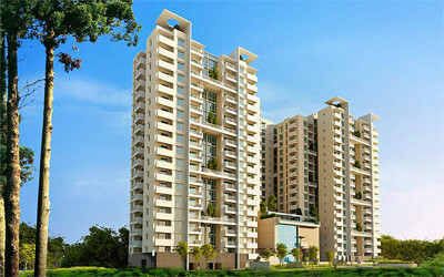 Ncc ivory heights