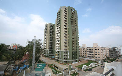 Sobha tulip thumbnail