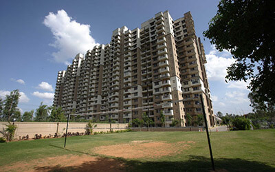 Sobha amethyst thumbnail