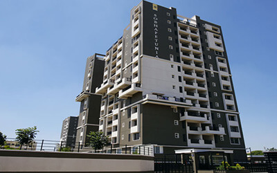Sobha petunia thumbnail