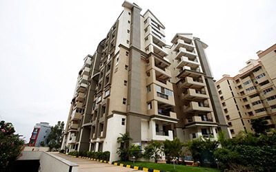Sobha hibiscus thumbnail