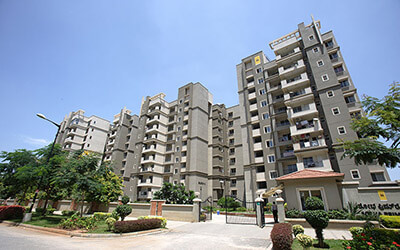 Sobha primrose thumbnail