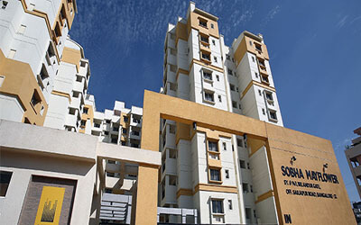 Sobha mayflower tumbnail