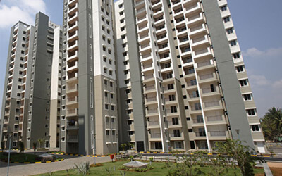 Sobha ruby thumbnail