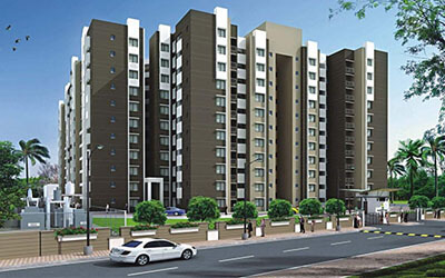 Sobha cinnamon thumbnail