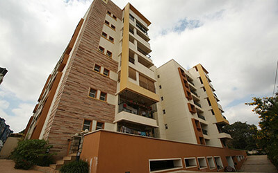 Sobha sunflower thumbnial