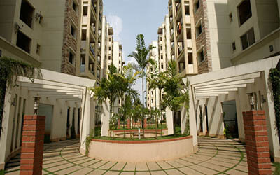 Sobha dahlia thumbnail
