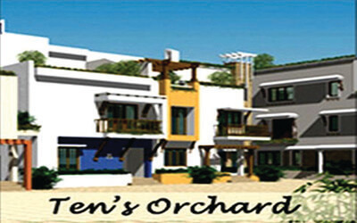 Tens orchards tumbnail