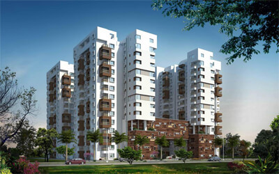 Vaswani brentwood