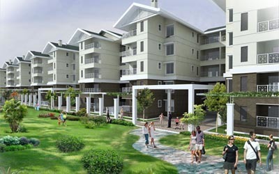 Sobha dewflower thumbnail