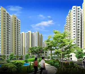 Eden park phase ii smalltile
