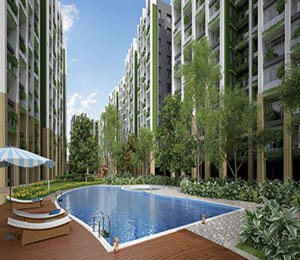 Jain group dream eco city smalltile