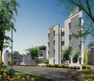 Provident cosmoity smalltile