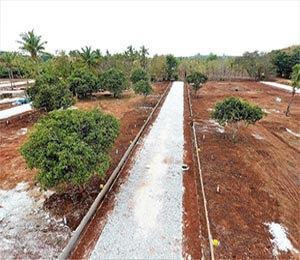 Samatha Paradise Plot Hunsur Road Mysore
