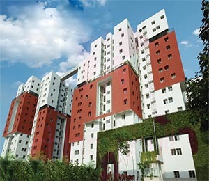 Osian Chlorophyll Porur Chennai