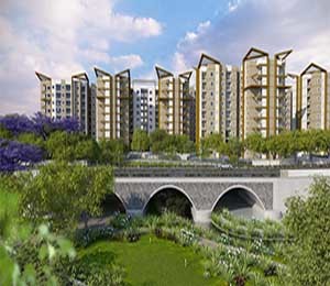 Carnation at Brigade Meadows Kanakapura Road Bangalore