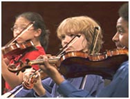 Starling Chamber Orchestra