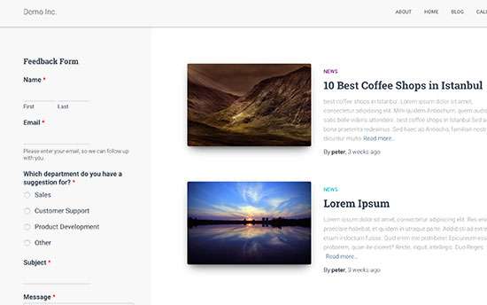 IDOLTV thêm biểu mẫu phản hồi của khách hàng trong wordpress
