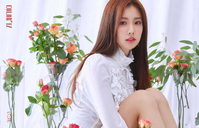IDOL thông tin ca sĩ Hyewon IZ ONE kpop