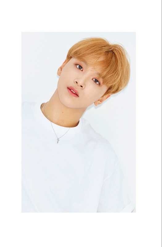 Idol thông tin thành viên haechan NCT Dream