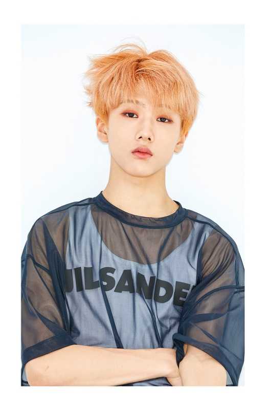 Idol thông tin thành viên jisung NCT Dream