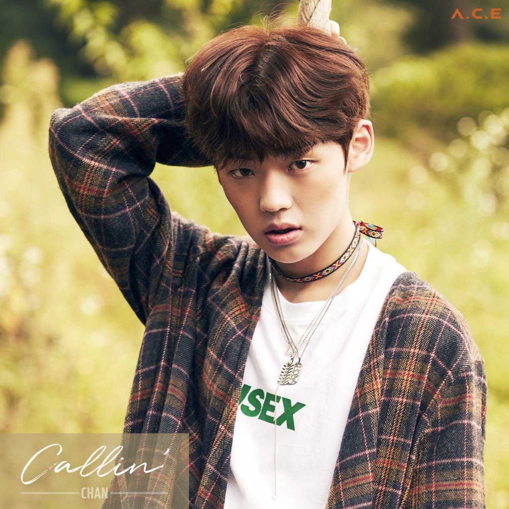 Idoltv Profile thông tin thành viên chan nhóm nhạc ACE k-pop