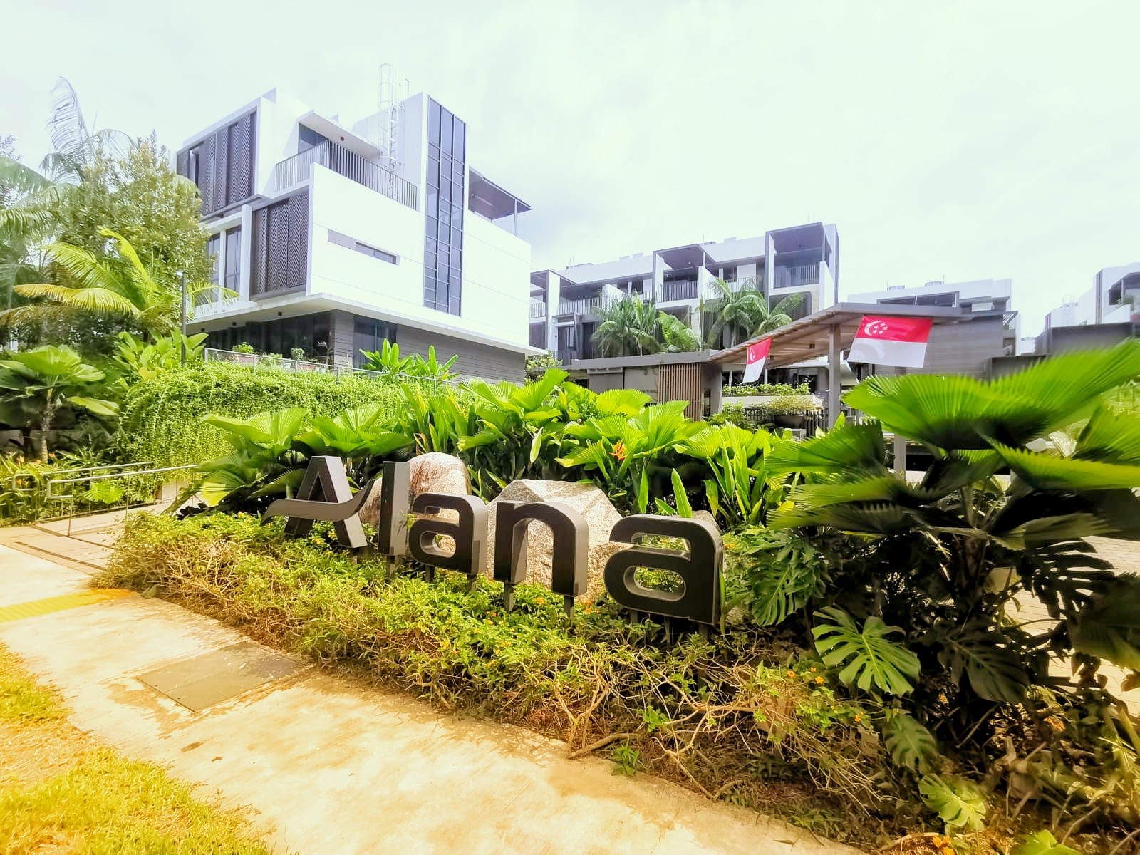 Sunrise Terrace for sale YEO CHENG YONG