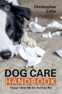 The dog care handbook: things I wish my vet had told me