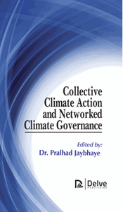 Collective climate action and networked climate governance