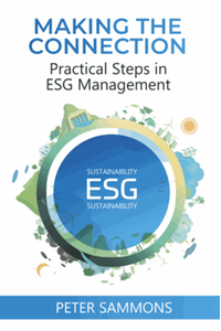 Making the Connection: Practical Steps in ESG Management