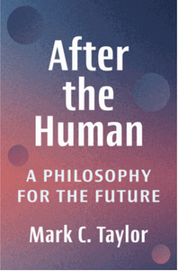 After the human : a philosophy for the future