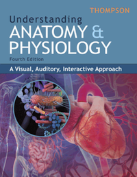 Understanding anatomy & physiology : a visual, auditory, interactive approach, fourth edition