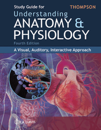 Study guide for understanding anatomy and physiology : a visual, auditory, interactive approach, fourth edition