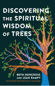 Discovering the spiritual wisdom of trees